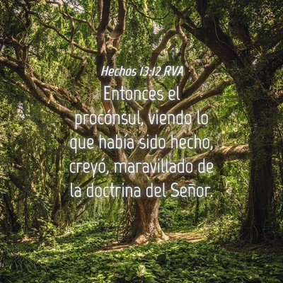 Picture 04 - Hechos 13:12 RVA - Entonces el procónsul, viendo lo que había sido - Bible Verse Picture
