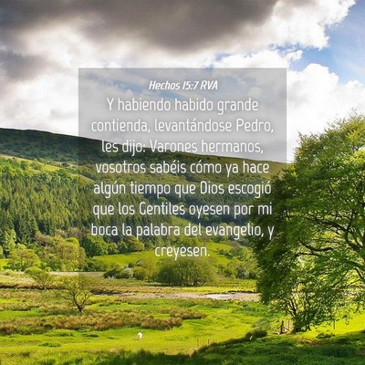 Picture 04 - Hechos 15:7 RVA - Y habiendo habido grande contienda, levantándose - Bible Verse Picture