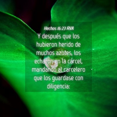 Picture 04 - Hechos 16:23 RVA - Y después que los hubieron herido de muchos - Bible Verse Picture