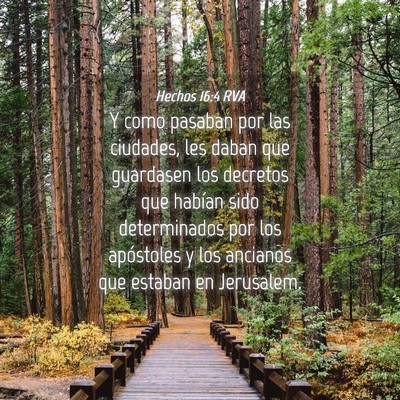 Picture 04 - Hechos 16:4 RVA - Y como pasaban por las ciudades, les daban que - Bible Verse Picture