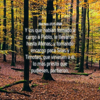 Picture 04 - Hechos 17:15 RVA - Y los que habían tomado á cargo á Pablo, le - Bible Verse Picture