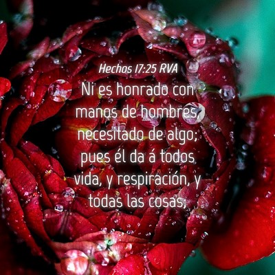Picture 04 - Hechos 17:25 RVA - Ni es honrado con manos de hombres, necesitado de - Bible Verse Picture