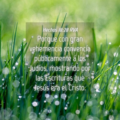 Picture 04 - Hechos 18:28 RVA - Porque con gran vehemencia convencía - Bible Verse Picture