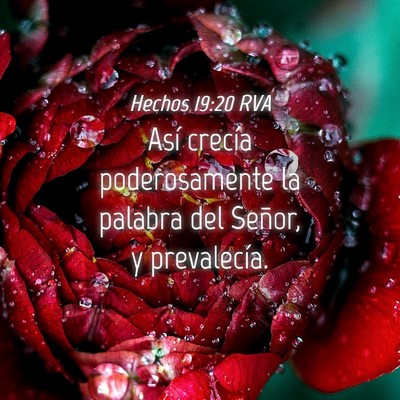 Picture 04 - Hechos 19:20 RVA - Así crecía poderosamente la palabra del Señor, - Bible Verse Picture