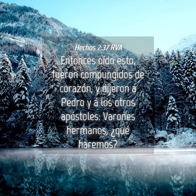 Picture 04 - Hechos 2:37 RVA - Entonces oído esto, fueron compungidos de - Bible Verse Picture