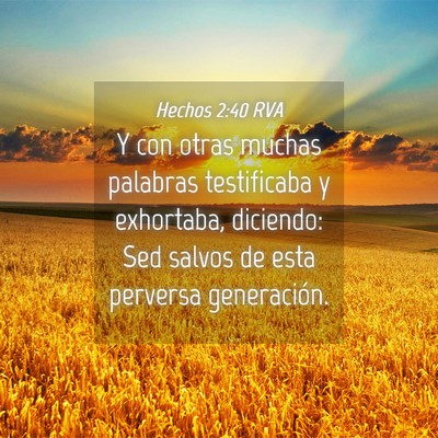 Picture 04 - Hechos 2:40 RVA - Y con otras muchas palabras testificaba y - Bible Verse Picture