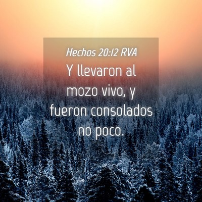 Picture 04 - Hechos 20:12 RVA - Y llevaron al mozo vivo, y fueron consolados no - Bible Verse Picture