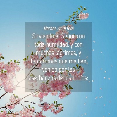 Picture 04 - Hechos 20:19 RVA - Sirviendo al Señor con toda humildad, y con - Bible Verse Picture