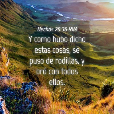 Picture 04 - Hechos 20:36 RVA - Y como hubo dicho estas cosas, se puso de - Bible Verse Picture