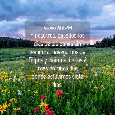 Picture 04 - Hechos 20:6 RVA - Y nosotros, pasados los días de los panes sin - Bible Verse Picture