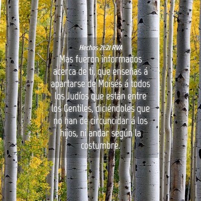 Picture 04 - Hechos 21:21 RVA - Mas fueron informados acerca de ti, que enseñas - Bible Verse Picture
