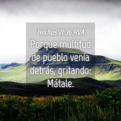 Picture 04 - Hechos 21:36 RVA - Porque multitud de pueblo venía detrás, - Bible Verse Picture
