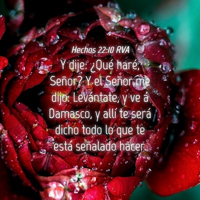 Picture 04 - Hechos 22:10 RVA - Y dije: ¿Qué haré, Señor? Y el Señor me - Bible Verse Picture