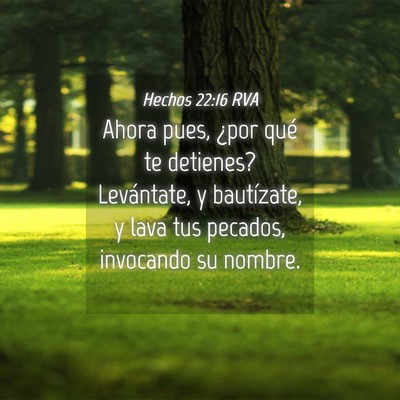 Picture 04 - Hechos 22:16 RVA - Ahora pues, ¿por qué te detienes? Levántate, y - Bible Verse Picture