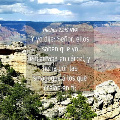 Picture 04 - Hechos 22:19 RVA - Y yo dije: Señor, ellos saben que yo encerraba - Bible Verse Picture