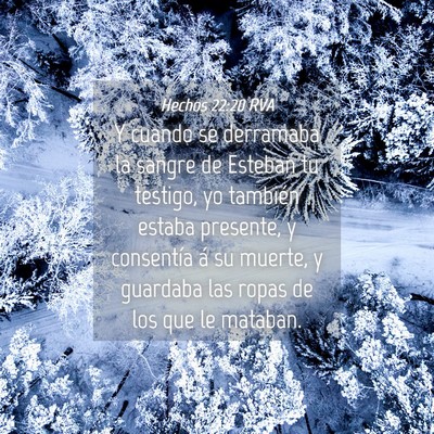 Picture 04 - Hechos 22:20 RVA - Y cuando se derramaba la sangre de Esteban tu - Bible Verse Picture