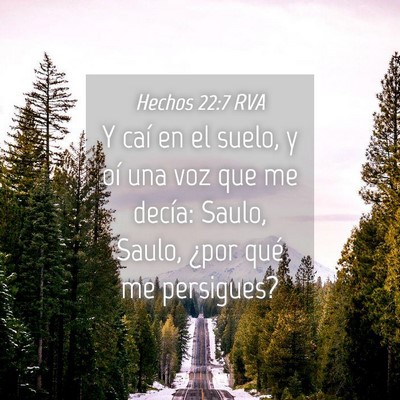 Picture 04 - Hechos 22:7 RVA - Y caí en el suelo, y oí una voz que me decía: - Bible Verse Picture
