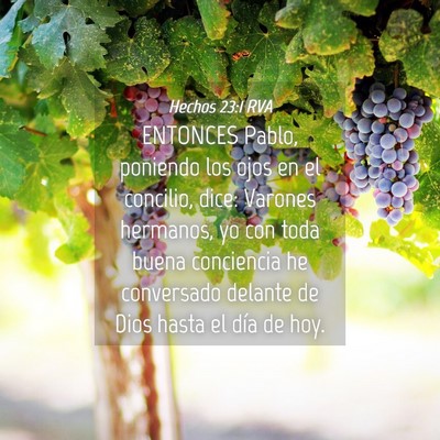 Picture 04 - Hechos 23:1 RVA - ENTONCES Pablo, poniendo los ojos en el concilio, - Bible Verse Picture