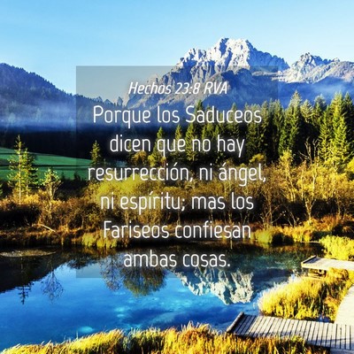 Picture 04 - Hechos 23:8 RVA - Porque los Saduceos dicen que no hay - Bible Verse Picture