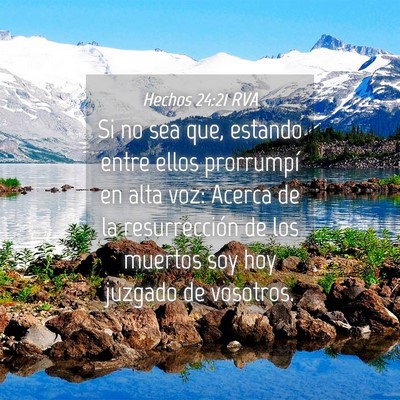 Picture 04 - Hechos 24:21 RVA - Si no sea que, estando entre ellos prorrumpí en - Bible Verse Picture