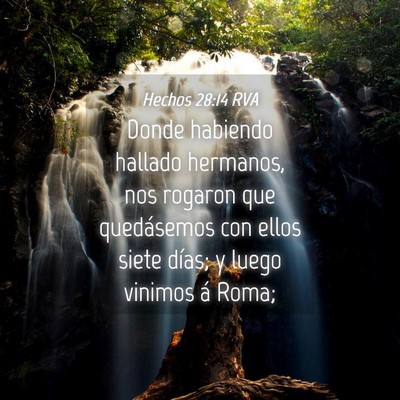 Picture 04 - Hechos 28:14 RVA - Donde habiendo hallado hermanos, nos rogaron que - Bible Verse Picture