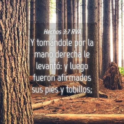 Picture 04 - Hechos 3:7 RVA - Y tomándole por la mano derecha le levantó: y - Bible Verse Picture