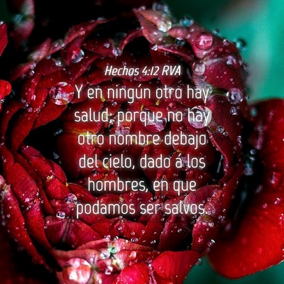 Picture 04 - Hechos 4:12 RVA - Y en ningún otro hay salud; porque no hay otro - Bible Verse Picture