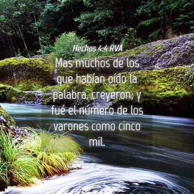 Picture 04 - Hechos 4:4 RVA - Mas muchos de los que habían oído la palabra, - Bible Verse Picture