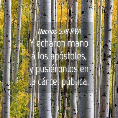 Picture 04 - Hechos 5:18 RVA - Y echaron mano á los apóstoles, y pusiéronlos - Bible Verse Picture
