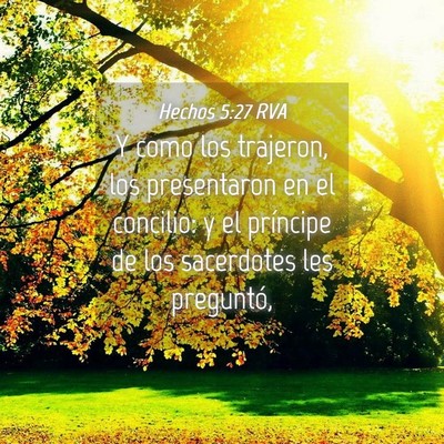 Picture 04 - Hechos 5:27 RVA - Y como los trajeron, los presentaron en el - Bible Verse Picture