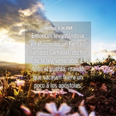 Picture 04 - Hechos 5:34 RVA - Entonces levantándose en el concilio un Fariseo - Bible Verse Picture