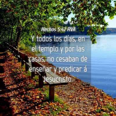 Picture 04 - Hechos 5:42 RVA - Y todos los días, en el templo y por las casas, - Bible Verse Picture