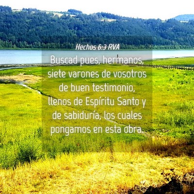 Picture 04 - Hechos 6:3 RVA - Buscad pues, hermanos, siete varones de vosotros - Bible Verse Picture