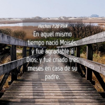 Picture 04 - Hechos 7:20 RVA - En aquel mismo tiempo nació Moisés, y fué - Bible Verse Picture