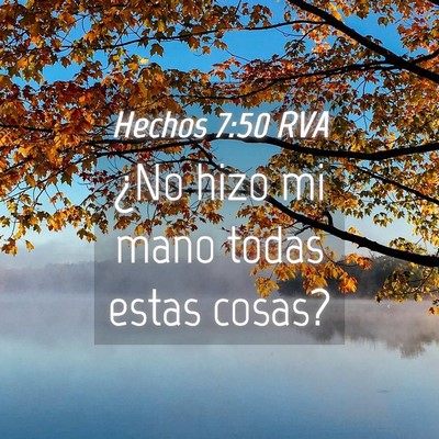 Picture 04 - Hechos 7:50 RVA - ¿No hizo mi mano todas estas - Bible Verse Picture