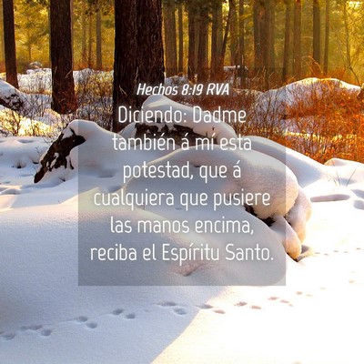 Picture 04 - Hechos 8:19 RVA - Diciendo: Dadme también á mí esta potestad, - Bible Verse Picture