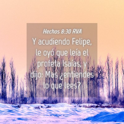 Picture 04 - Hechos 8:30 RVA - Y acudiendo Felipe, le oyó que leía el profeta - Bible Verse Picture