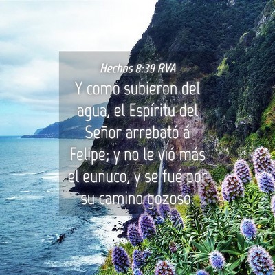Picture 04 - Hechos 8:39 RVA - Y como subieron del agua, el Espíritu del Señor - Bible Verse Picture