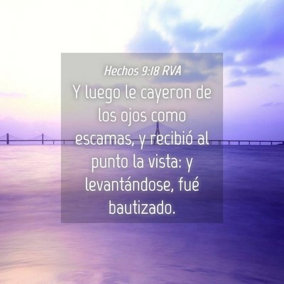 Picture 04 - Hechos 9:18 RVA - Y luego le cayeron de los ojos como escamas, y - Bible Verse Picture
