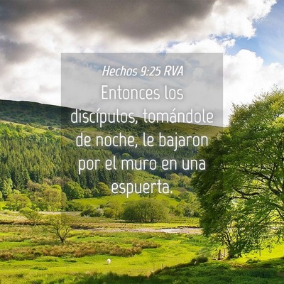 Picture 04 - Hechos 9:25 RVA - Entonces los discípulos, tomándole de noche, le - Bible Verse Picture