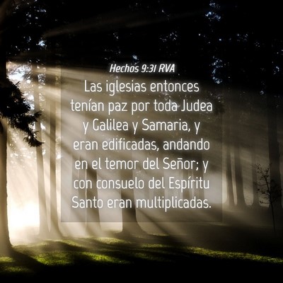 Picture 04 - Hechos 9:31 RVA - Las iglesias entonces tenían paz por toda Judea - Bible Verse Picture