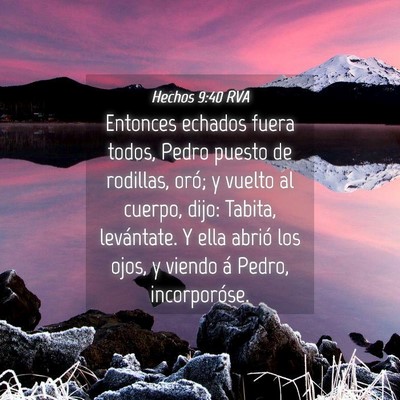 Picture 04 - Hechos 9:40 RVA - Entonces echados fuera todos, Pedro puesto de - Bible Verse Picture
