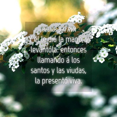 Picture 04 - Hechos 9:41 RVA - Y él le dió la mano, y levantóla: entonces - Bible Verse Picture