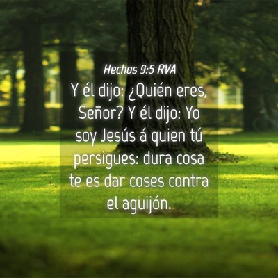 Picture 04 - Hechos 9:5 RVA - Y él dijo: ¿Quién eres, Señor? Y él dijo: Yo - Bible Verse Picture