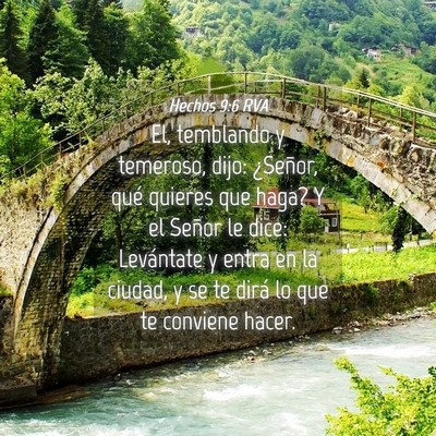 Picture 04 - Hechos 9:6 RVA - El, temblando y temeroso, dijo: ¿Señor, qué - Bible Verse Picture