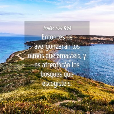 Picture 04 - Isaías 1:29 RVA - Entonces os avergonzarán los olmos que amasteis, - Bible Verse Picture