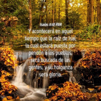 Picture 04 - Isaías 11:10 RVA - Y acontecerá en aquel tiempo que la raíz de - Bible Verse Picture
