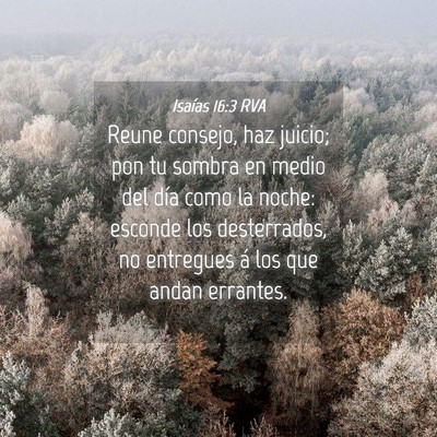 Picture 04 - Isaías 16:3 RVA - Reune consejo, haz juicio; pon tu sombra en medio - Bible Verse Picture