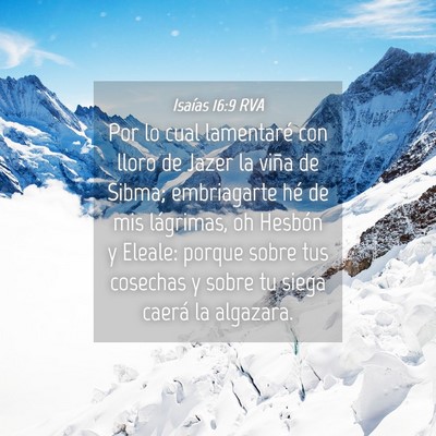 Picture 04 - Isaías 16:9 RVA - Por lo cual lamentaré con lloro de Jazer la - Bible Verse Picture