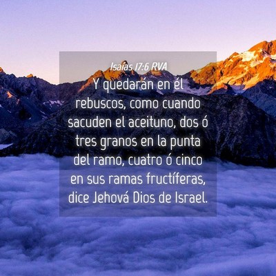 Picture 04 - Isaías 17:6 RVA - Y quedarán en él rebuscos, como cuando sacuden - Bible Verse Picture